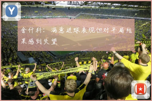 舍什科：满意进球表现但对平局结果感到失望